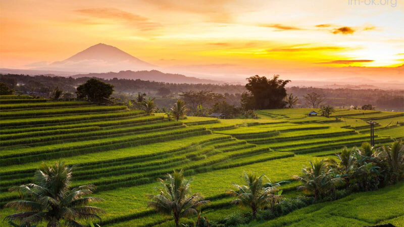 สถานที่ชมวิวในบาหลี