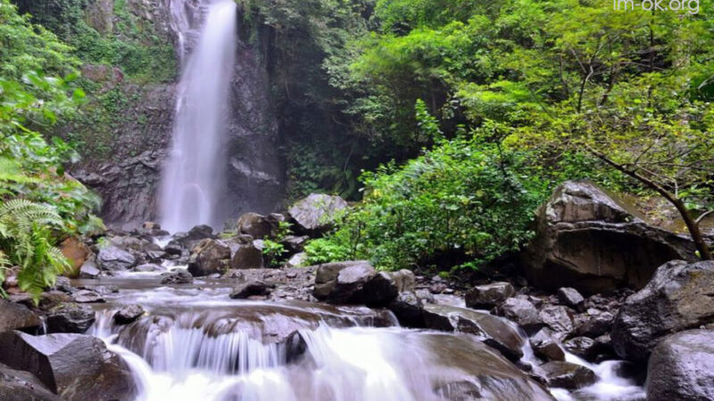 Yeh Mampeh Waterfall บาหลี
