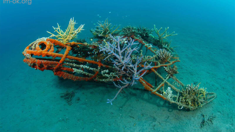 The Bio-Rock Reef Project บาหลี