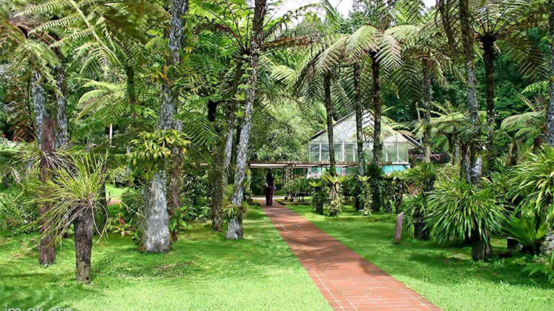 Botanical Garden บาหลี