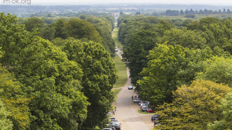 Ashridge Estate ธรรมชาติร้อยปี ที่โอบล้อมด้วยเสน่ห์ของอังกฤษชนบท