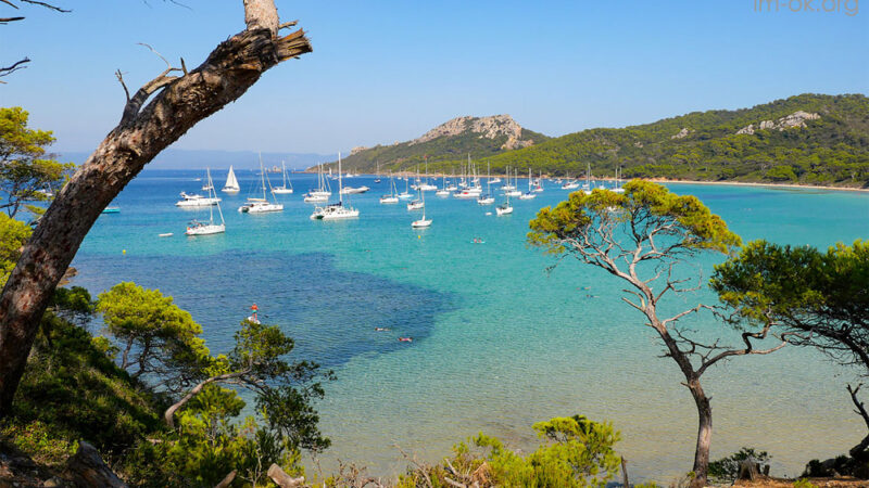 L’île de Porquerolles เกาะสวรรค์ ของทะเลเมดิเตอร์เรเนียน