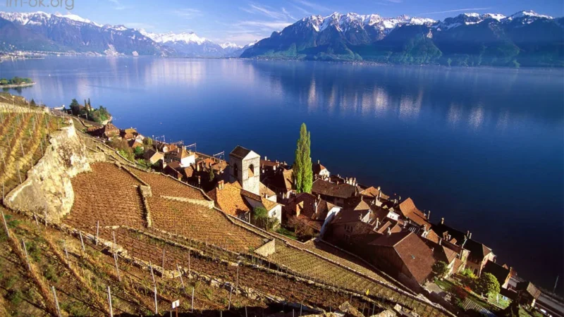 Lavaux Vineyards ไร่องุ่นริมทะเลสาบเจนีวา