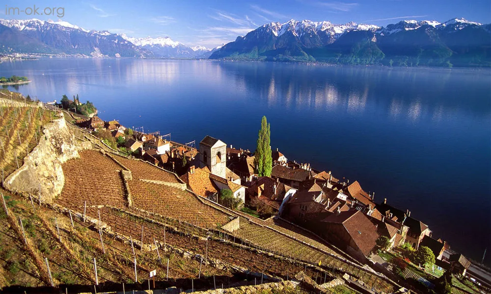 Lavaux Vineyards ไร่องุ่นริมทะเลสาบเจนีวา