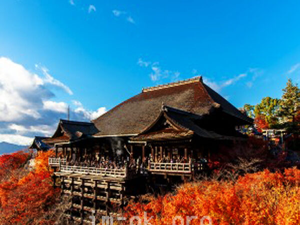 เกียวโต (Kyoto) เมืองแห่งวัฒนธรรม