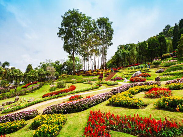 เที่ยวเชียงราย เมืองเหนือที่รวมธรรมชาติ
