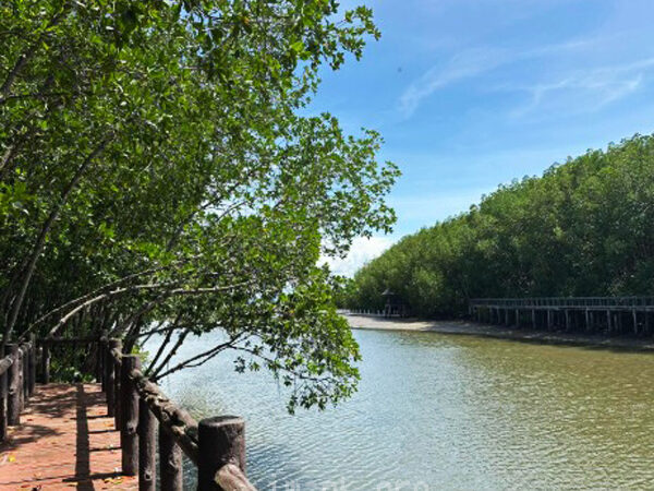 เที่ยว “อ่าวคุ้งกระเบน” จุดหมายธรรมชาติ