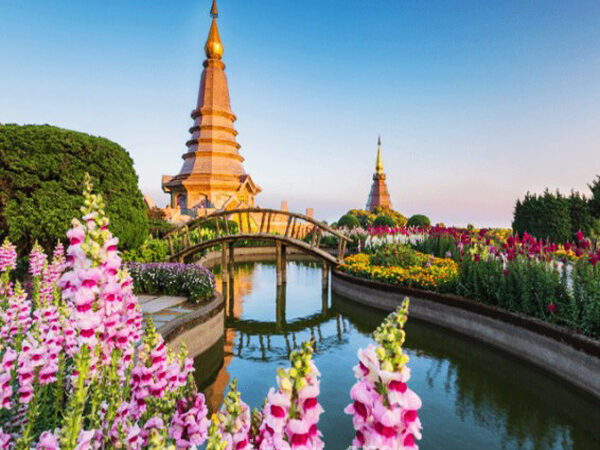 เที่ยวดอยอินทนนท์ สัมผัสหลังคา