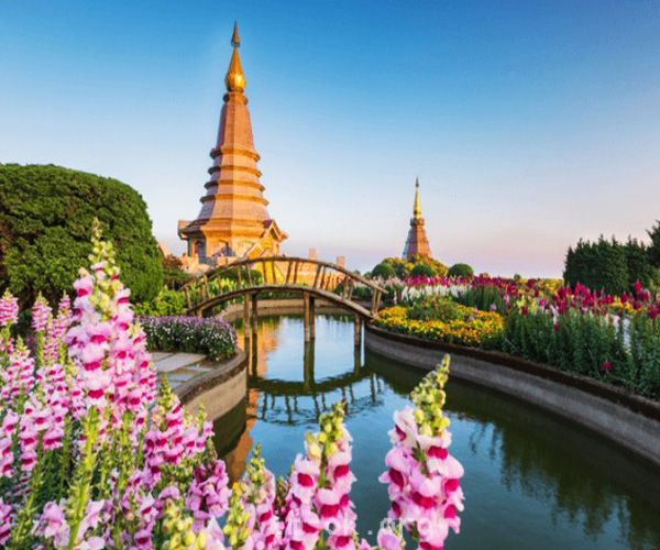 เที่ยวดอยอินทนนท์ สัมผัสหลังคา